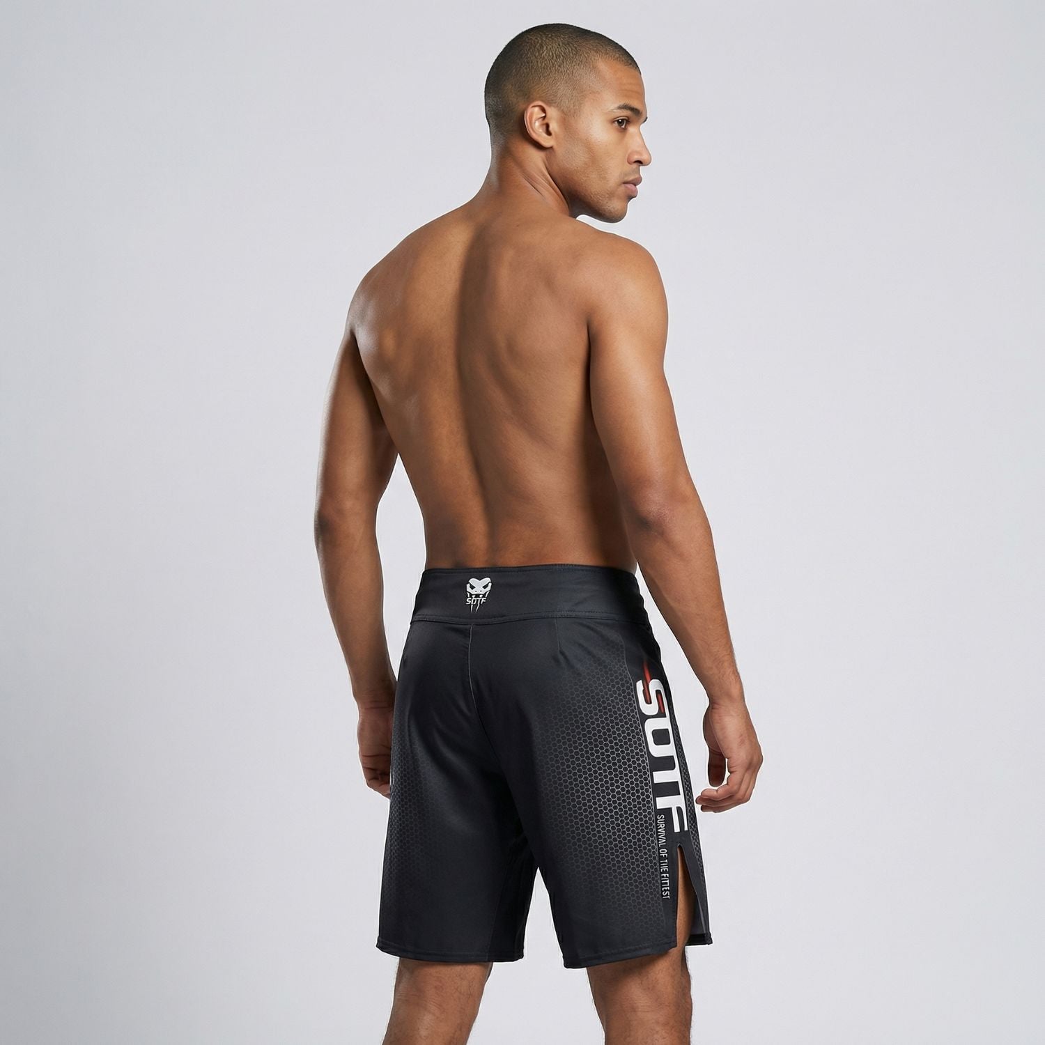 BJJ Grappling Shorts - Cobra - No - Gi Jiu Jitsu & MMA - BJJ OUTLET